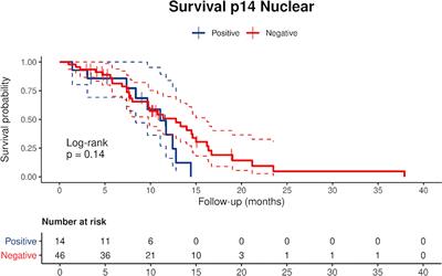 P14/ARF-Positive Malignant Pleural Mesothelioma: A Phenotype With Distinct Immune Microenvironment